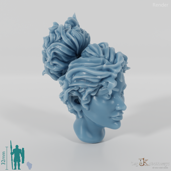 Woman's head - shaggy hair