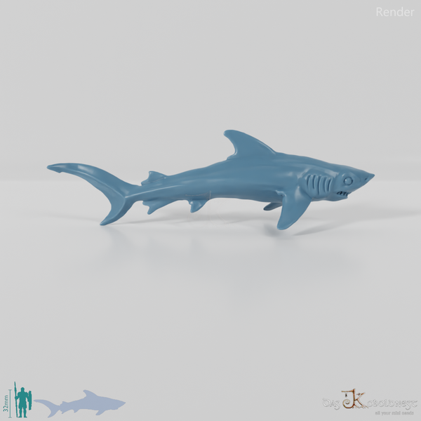 Shark - Swimming shark