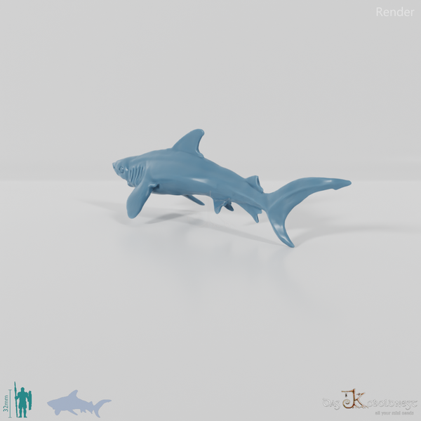 Shark - Swimming shark