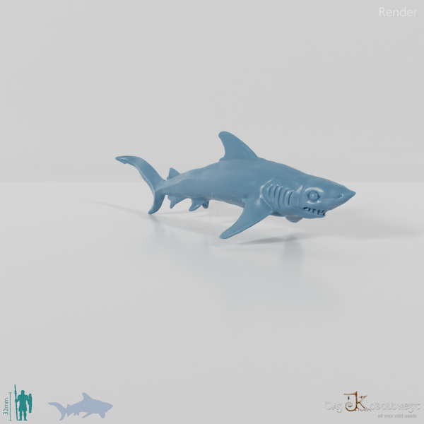 Shark - Swimming shark