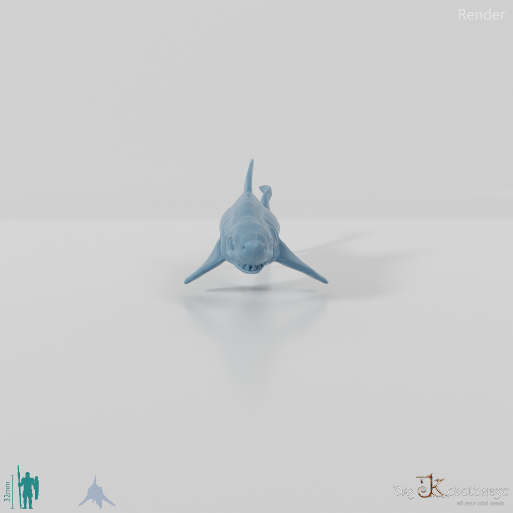 Shark - Swimming shark