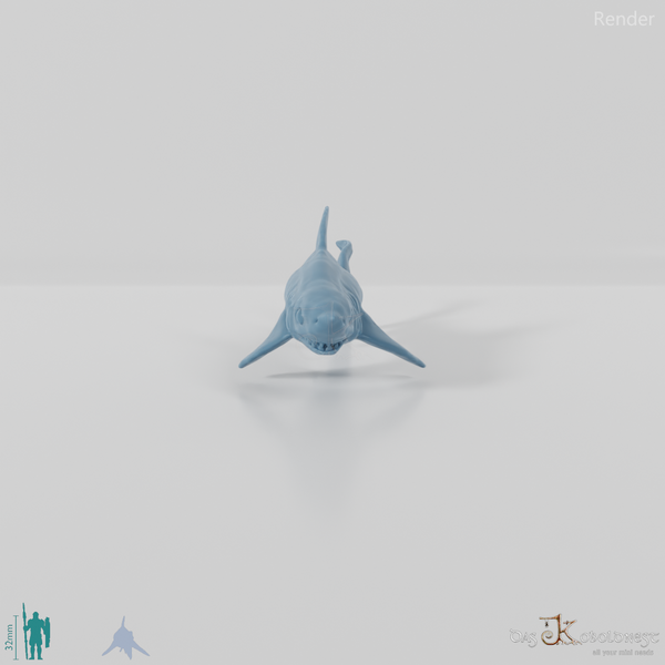 Shark - Swimming shark