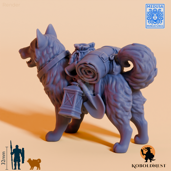 Husky-Adventurer_render_75pitch_240deg.png