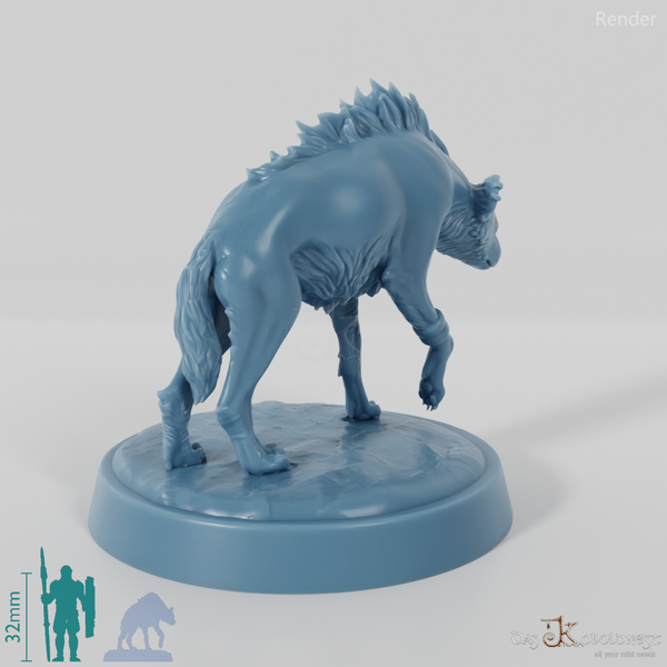 Hyäne - Gezähmte Hyäne