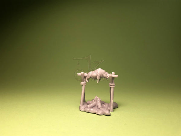 Campfire - camp kitchen