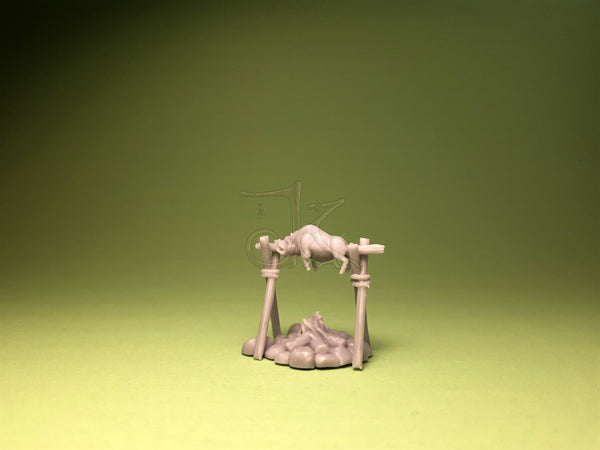 Campfire - camp kitchen