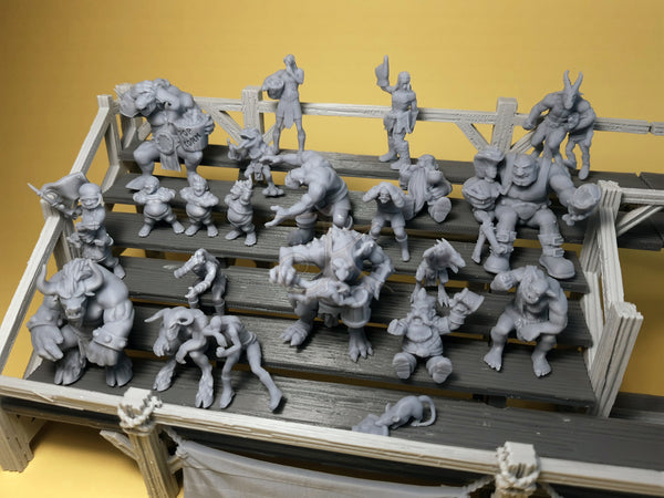 Sports Spectator Set 1