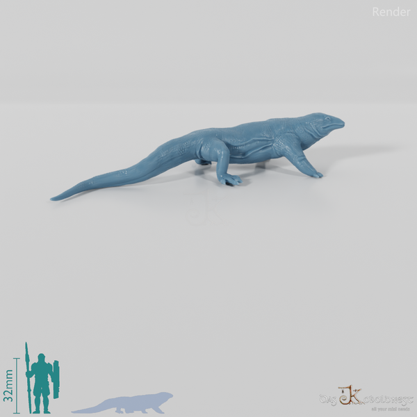 Monitor Lizard - Komodo Dragon 02