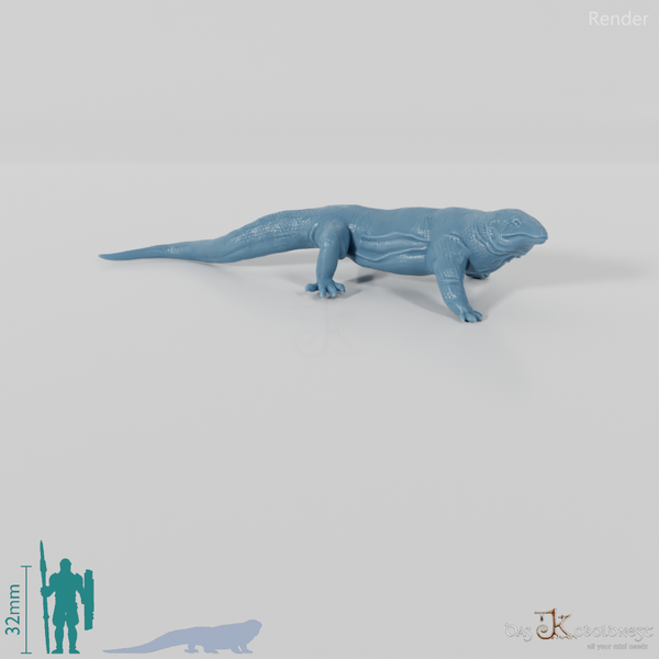 Monitor Lizard - Komodo Dragon 02