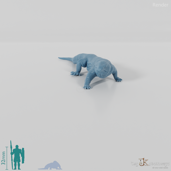 Monitor Lizard - Komodo Dragon 02