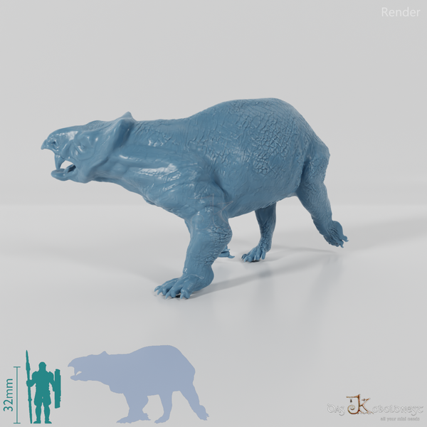 Lisowicia bojani 02 - JJP