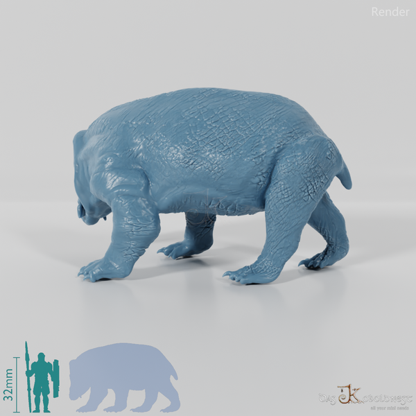 Lisowicia bojani 03 - JJP