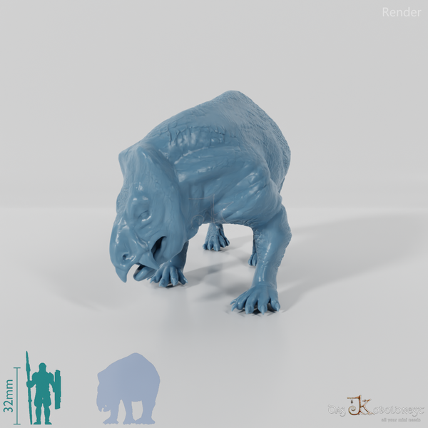 Lisowicia bojani 03 - JJP