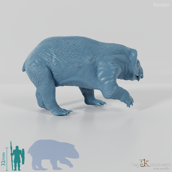 Lisowicia bojani 06 - JJP