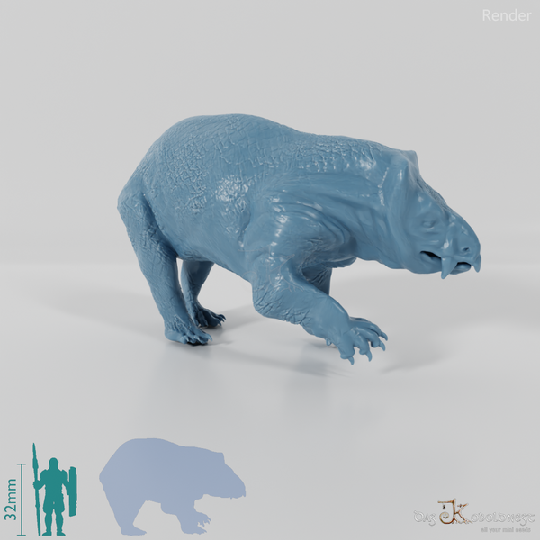 Lisowicia bojani 06 - JJP