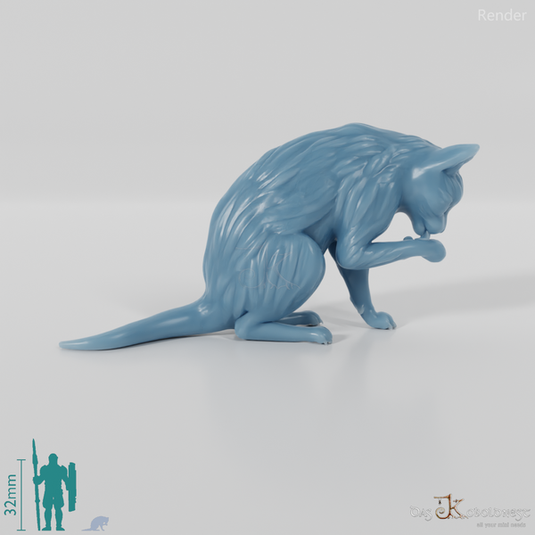 Cat - Lilith, preening cat