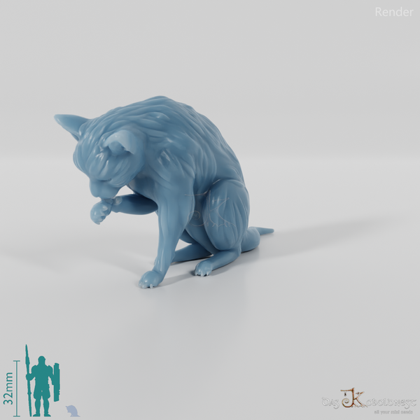 Cat - Lilith, preening cat