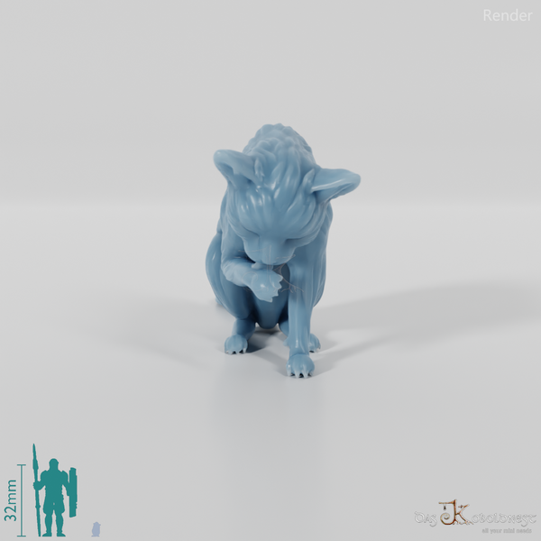 Cat - Lilith, preening cat