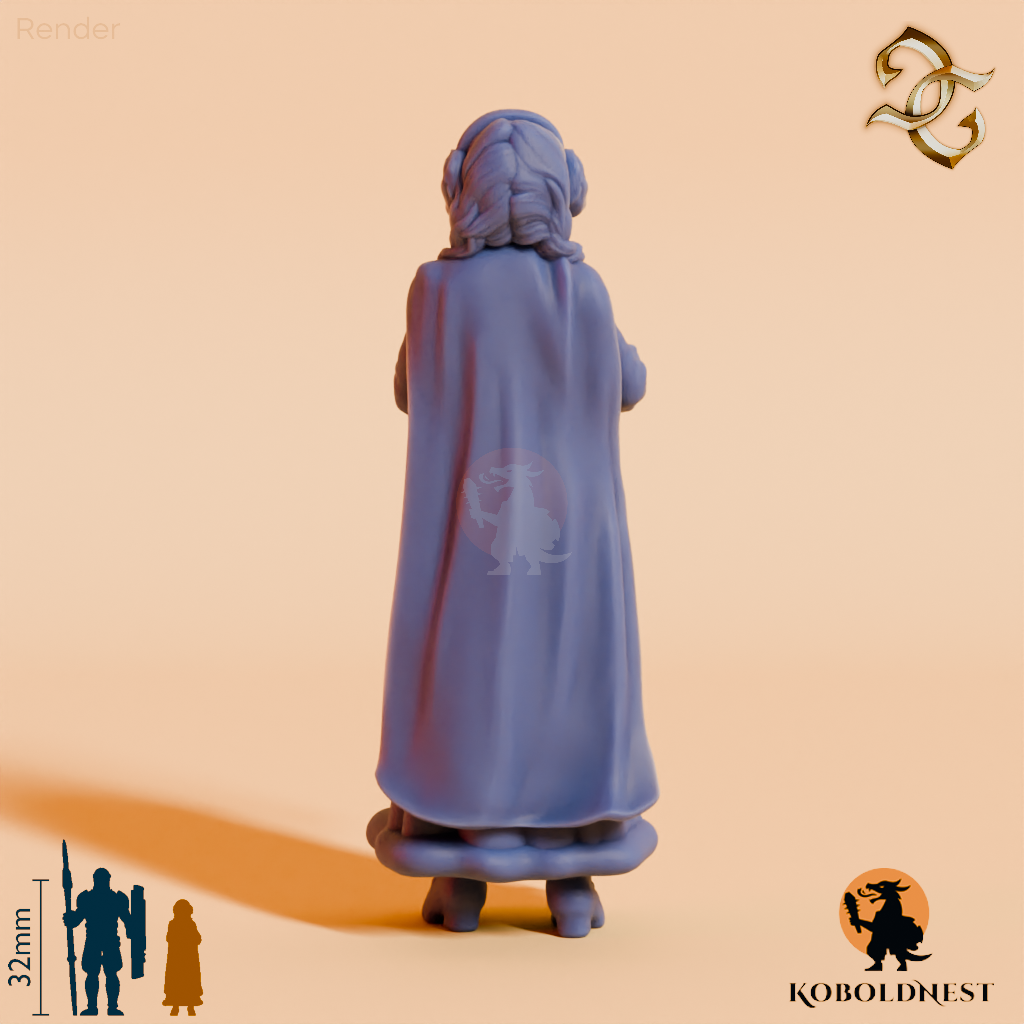 Lillian-Wren-Winter-Singer_render_80pitch_180deg.png