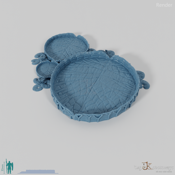 Gigantic lily pad 01