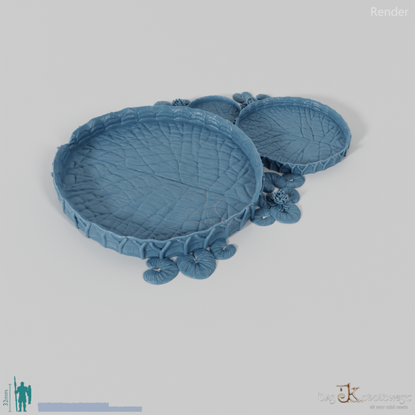 Gigantic lily pad 01