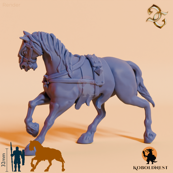 Kutschpferd R
