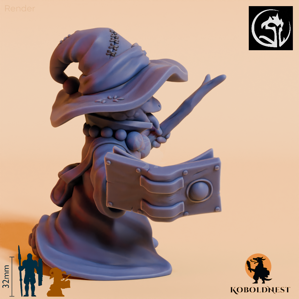 Lizard-Whimsy-Mage_render_80pitch_120deg.png