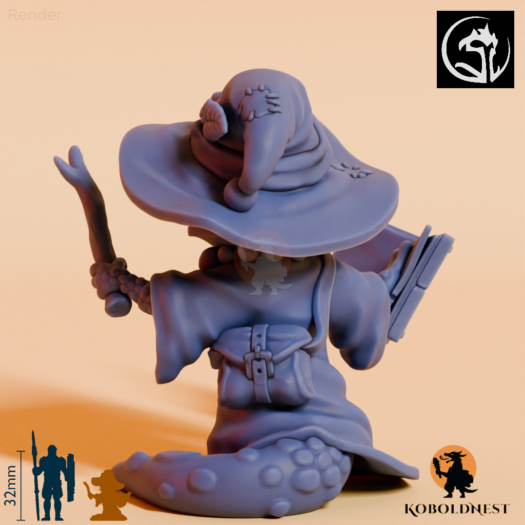 Lizard-Whimsy-Mage_render_80pitch_240deg.png