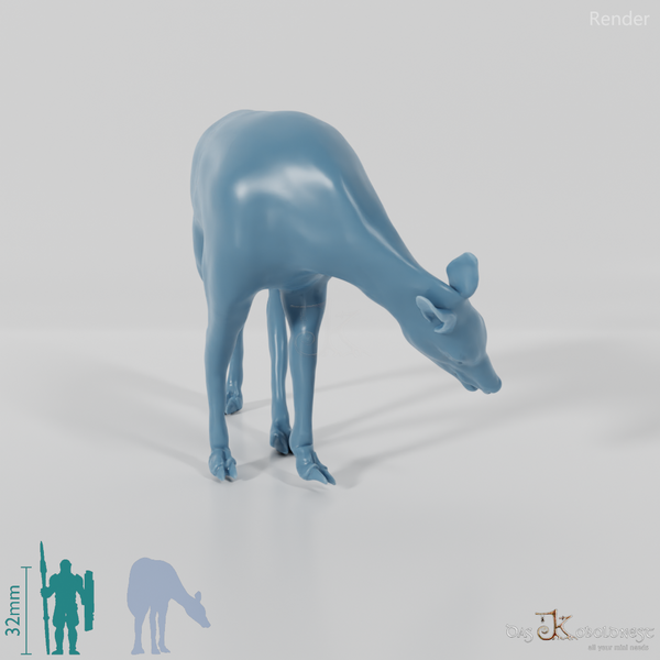 Megaloceros giganteus 05 - JJP