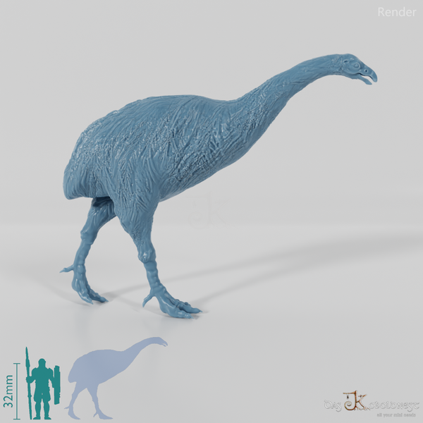 Dinornis novazaelandiae 01 (female) - JJP