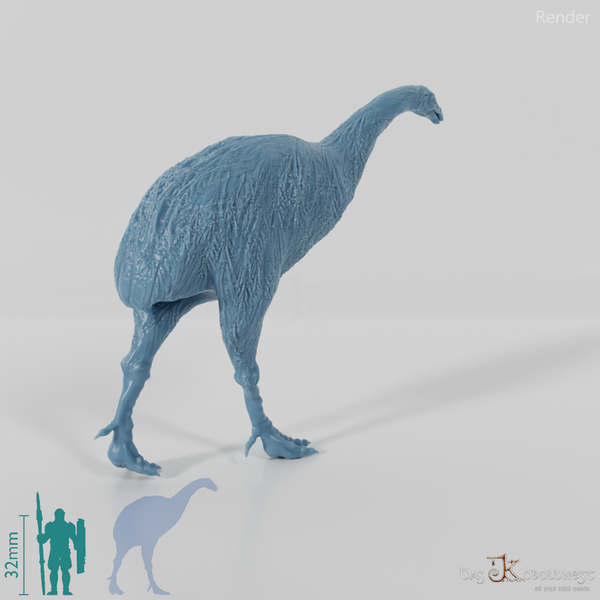 Dinornis novazaelandiae 01 (female) - JJP