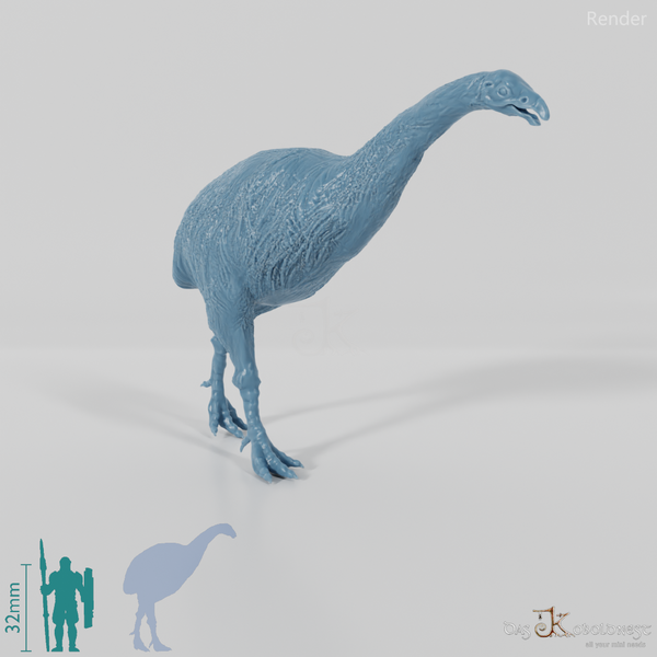 Dinornis novazaelandiae 01 (female) - JJP