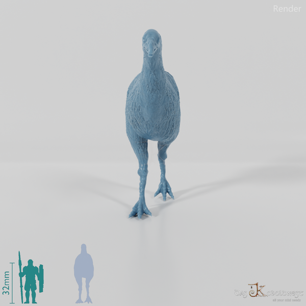 Dinornis novazaelandiae 01 (female) - JJP