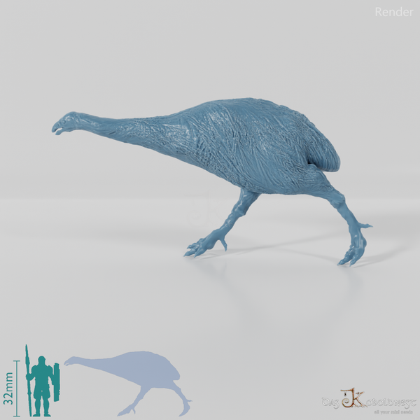 Dinornis novazaelandiae 02 (female) - JJP