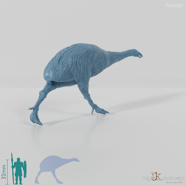 Dinornis novazaelandiae 02 (female) - JJP