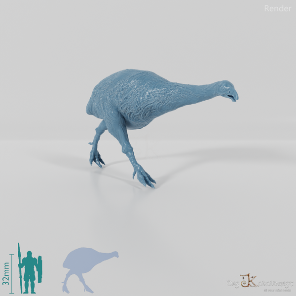 Dinornis novazaelandiae 02 (female) - JJP