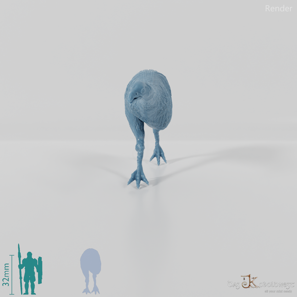 Dinornis novazaelandiae 02 (female) - JJP