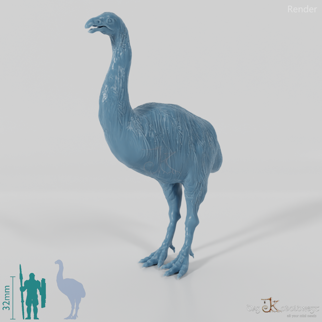 Dinornis novazaelandiae 03 (male) - JJP