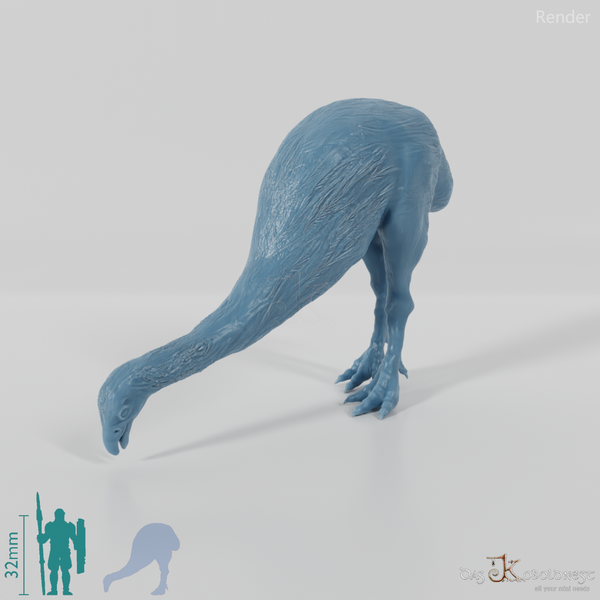 Dinornis novazaelandiae 04 (male) - JJP