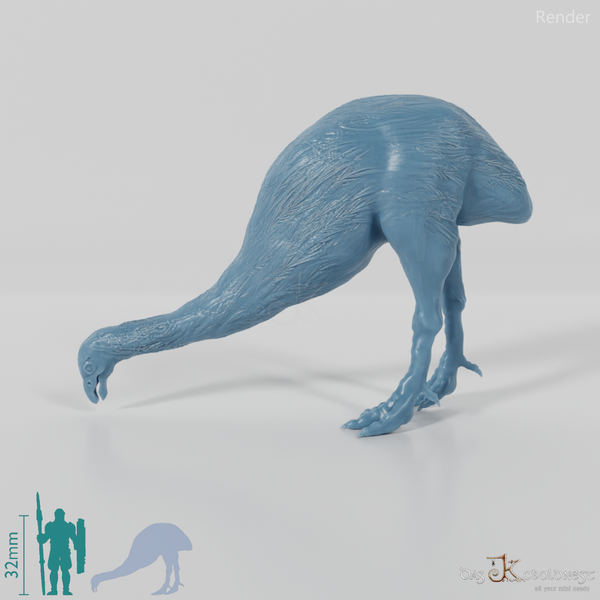 Dinornis novazaelandiae 04 (male) - JJP