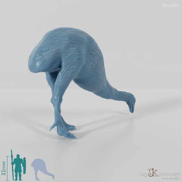 Dinornis novazaelandiae 04 (male) - JJP