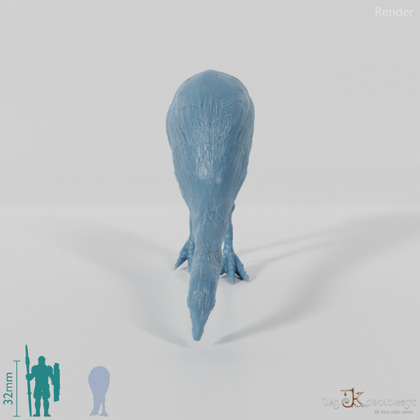 Dinornis novazaelandiae 04 (male) - JJP