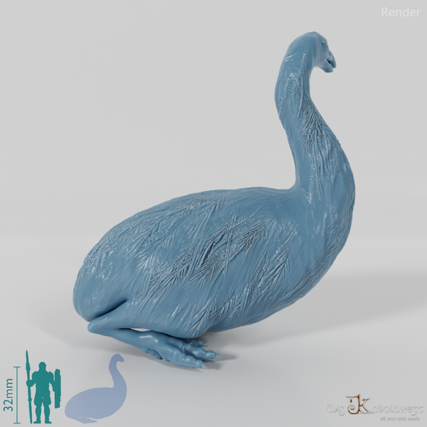 Dinornis novazaelandiae 05 (female) - JJP