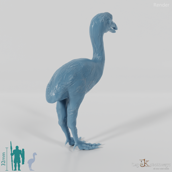 Dinornis novazaelandiae 06 (Jungtier) - JJP
