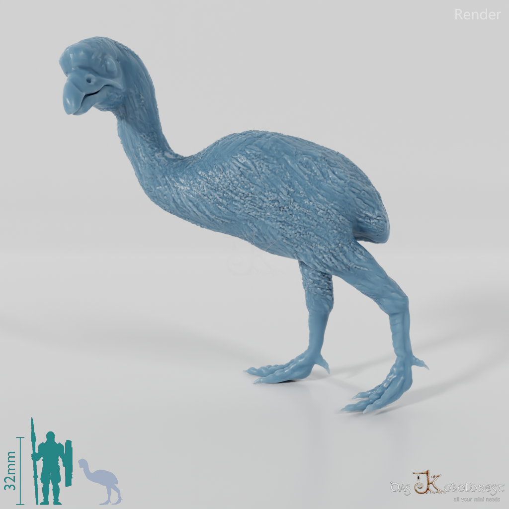 Dinornis novazaelandiae 07 (juvenile) - JJP