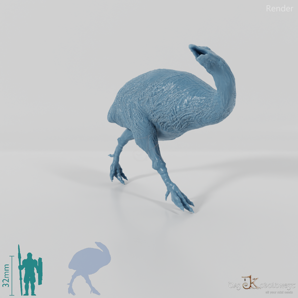 Dinornis novazaelandiae 08 (female) - JJP