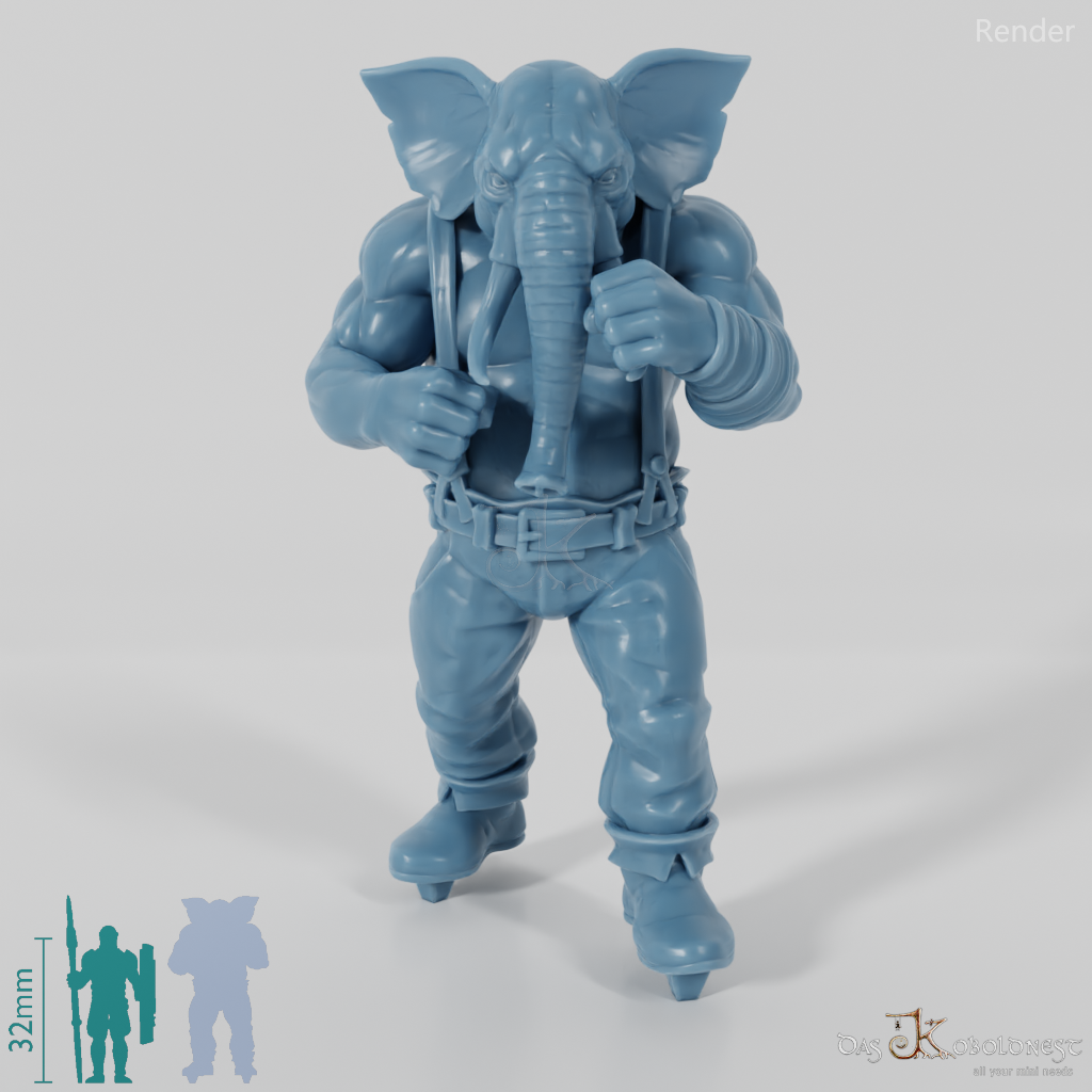 Elephant People Boxer 01