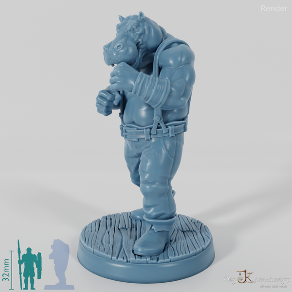 Hippopotamus Boxer 01
