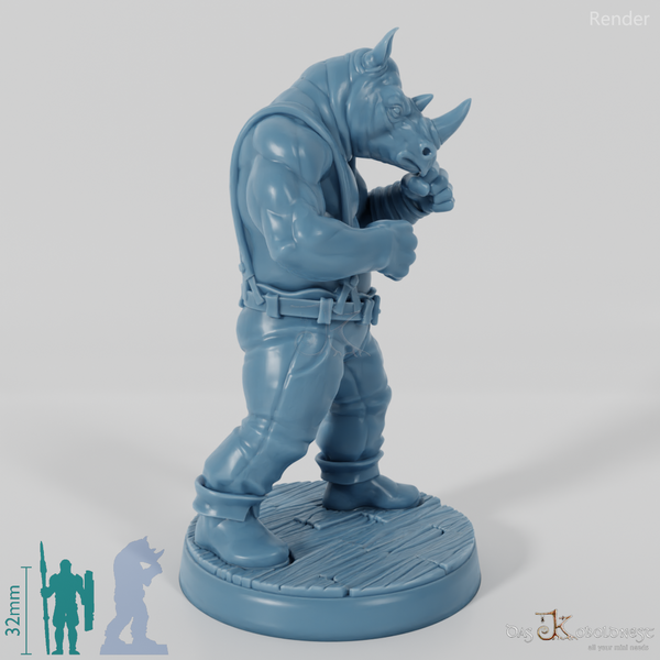 Rhinoceros Boxer 01