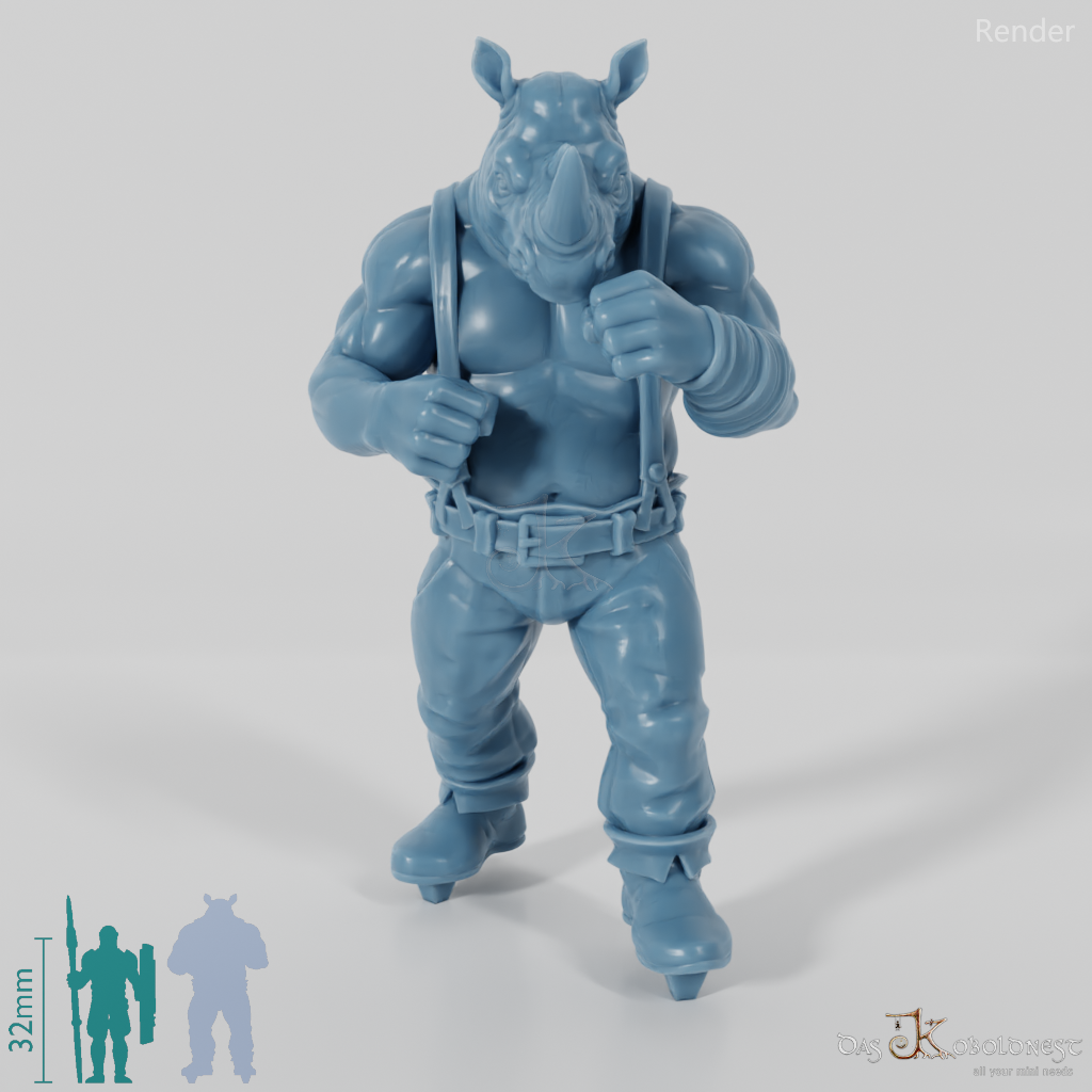 Rhinoceros Boxer 01